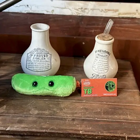 TB green plush toy in front of Victorian inhaler
